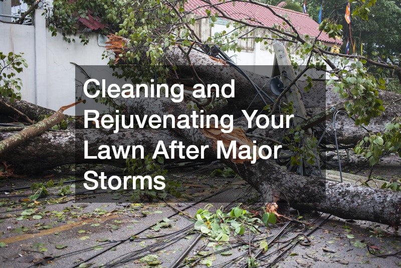Cleaning and Rejuvenating Your Lawn After Major Storms